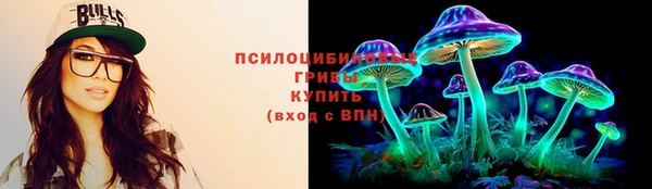 PSILOCYBIN Богданович